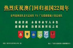雷速体育电脑版官网-包含激烈较量球场亮剑，足球情怀浓厚的词条