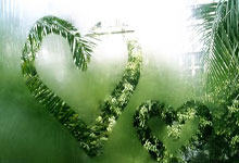 雷速体育电脑版官网下载-温网完胜法网，德约科维奇关键制胜的简单介绍