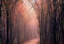 雷速体育直播官网-勇士碾压勇士B队,东契奇打破历史纪录:篮坛新潮流的崛起