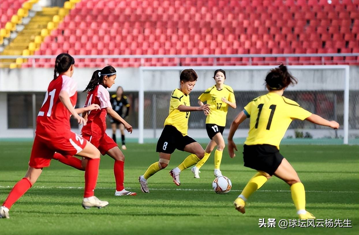 新目标定位，国内女足联赛大放异彩的简单介绍
