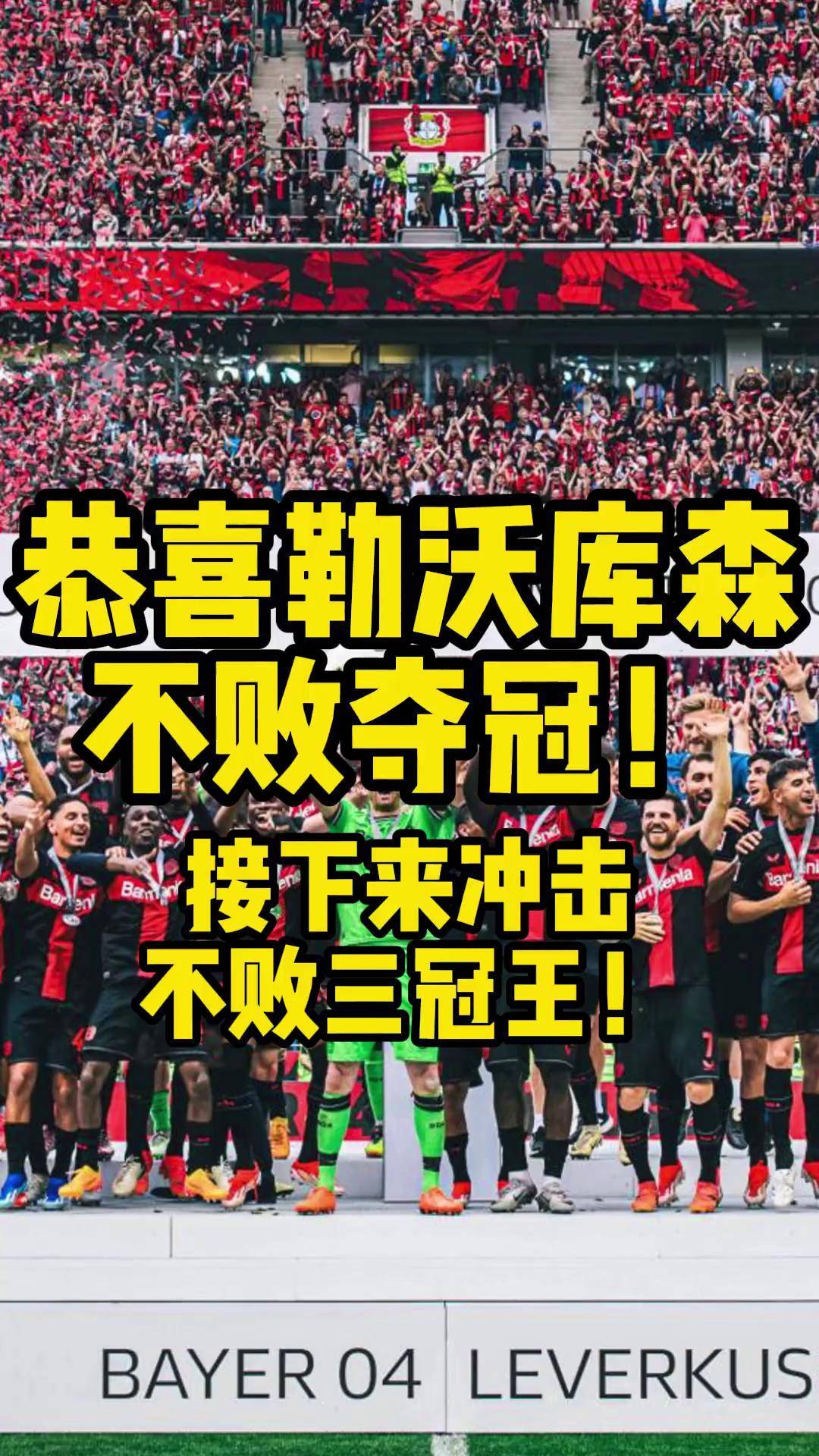 沃尔夫斯堡新援亮相，德甲劲旅冲击联赛冠军的简单介绍