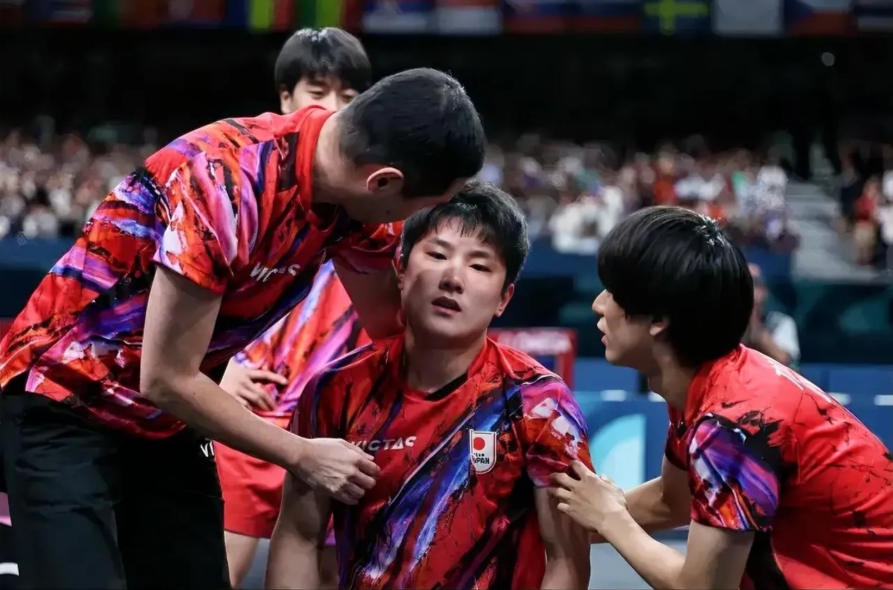 包含法国队力克奥地利队,张本智和扛起全队的词条 包含法国队力克奥地利队,张本智和扛起全队的词条